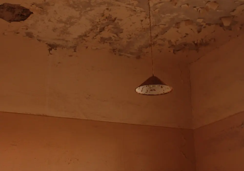Water-stained, peeling ceiling above a pendant light