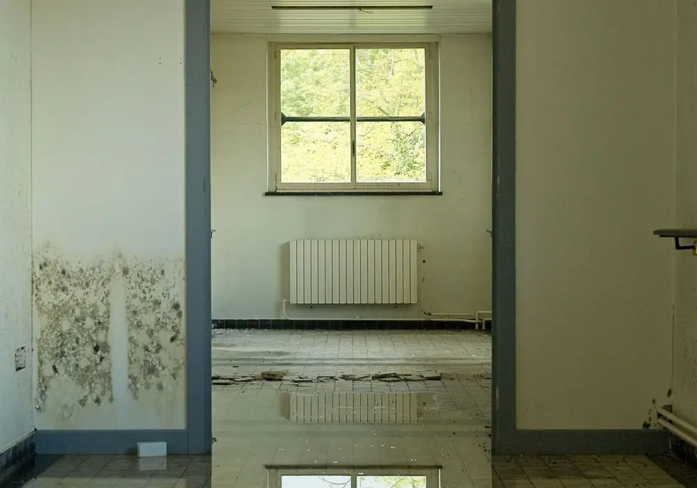 Room with standing water on the floor and mold on the wall